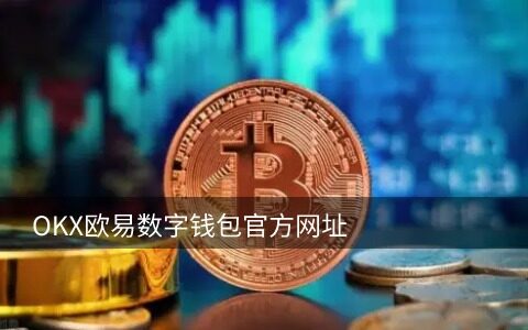 虚拟币钱包(虚拟币钱包密码忘了怎么办)-第1张图片-欧意下载