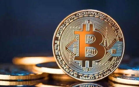 波卡币是什么币(波卡币数量）-第1张图片-欧意下载