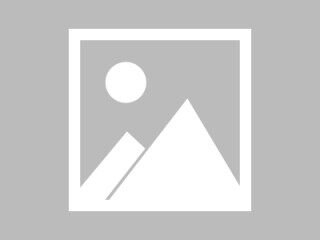 派币今日实时行情（派币价格今日行情人民币）