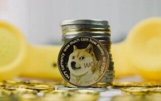 狗狗迷路了还会回来吗(狗狗币还会涨回来吗）